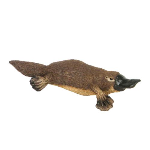 世界上极度怪异的巨大动物,世界上最奇特又怪异的动物