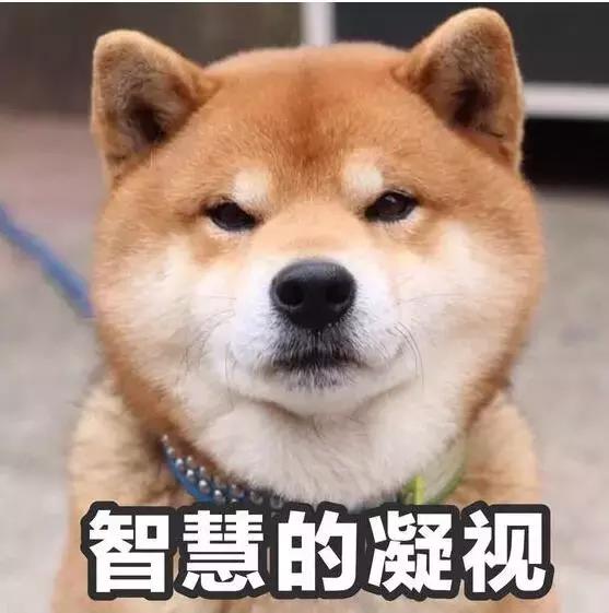 去香港超过7天被罚款多少,去香港超过7天了罚款吗