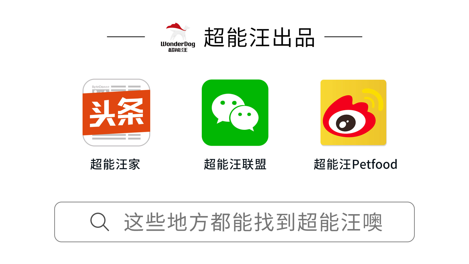 狗狗错位骨折了怎么办,狗狗不小心摔跤站不了了怎么办