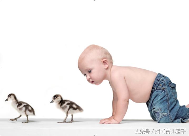 训练你的观察力,别让观察力好成为弱点