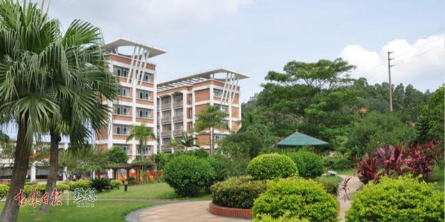 高职学院就业率排名2020,高职院校毕业生的就业率怎么样