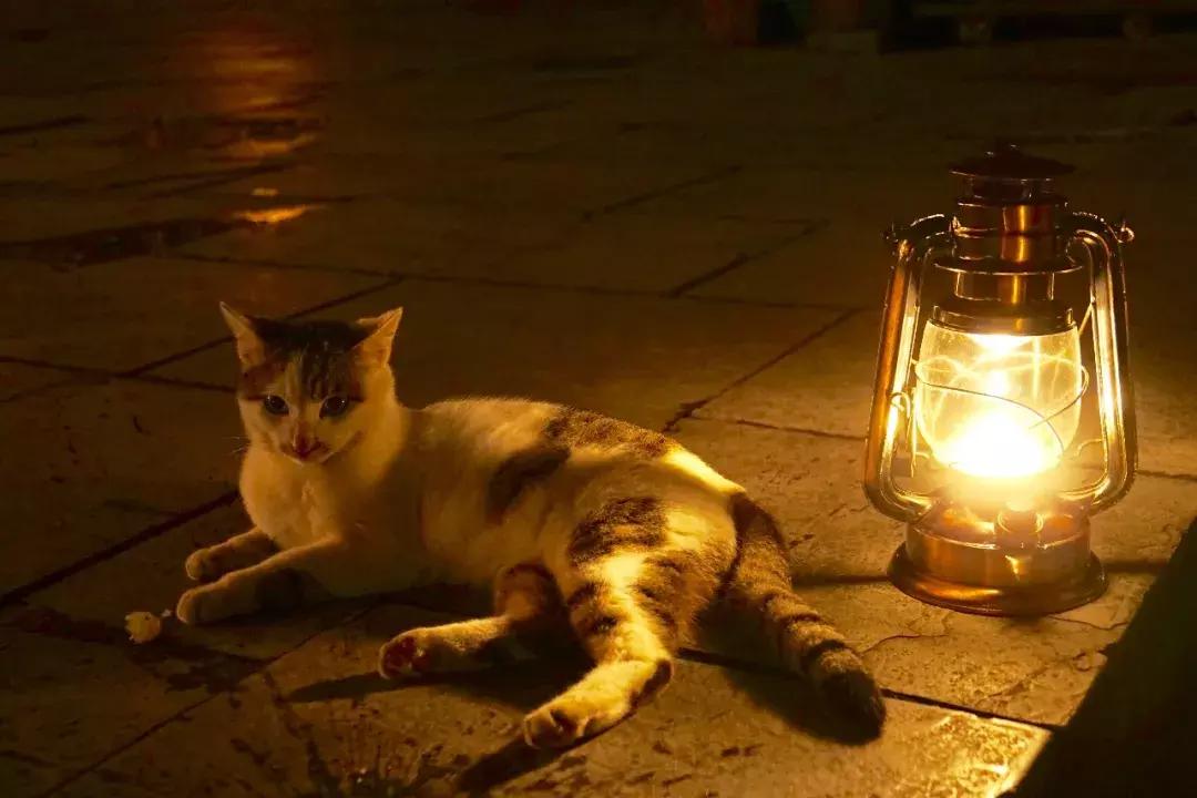 贵阳文凡状元别院有多少间房间,贵阳青岩文凡花间堂状元别院门票