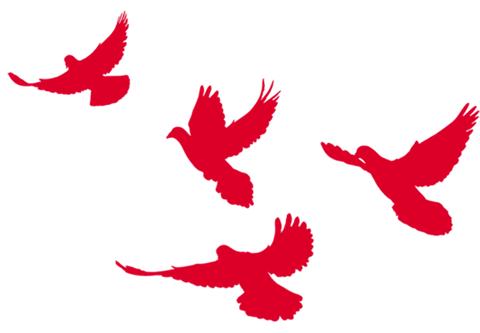 法院七一建党简报,庆祝七一党的生日活动方案