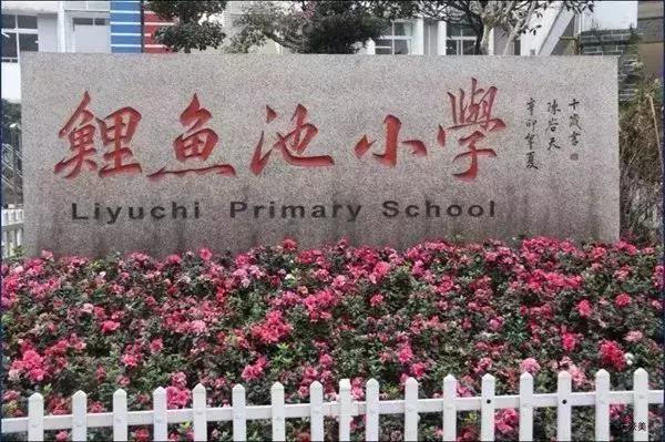 2018重庆各区小学划片敲定！快看你家对口是哪所！
