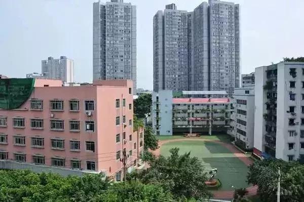 2021重庆小学划片区查询,重庆2023小学划片时间