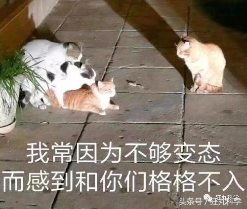 在人体上捏出等边直角三角形？现在的不科学网文真是要笑死我