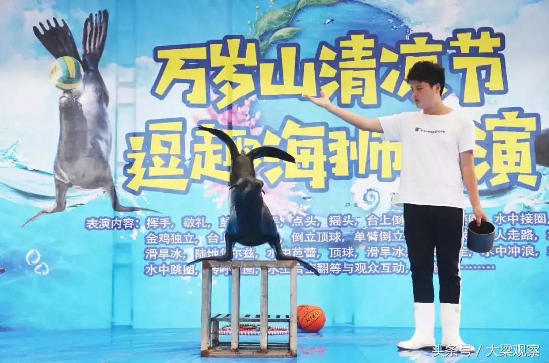 足球宝贝啤酒节,世界杯足球宝贝现场表演