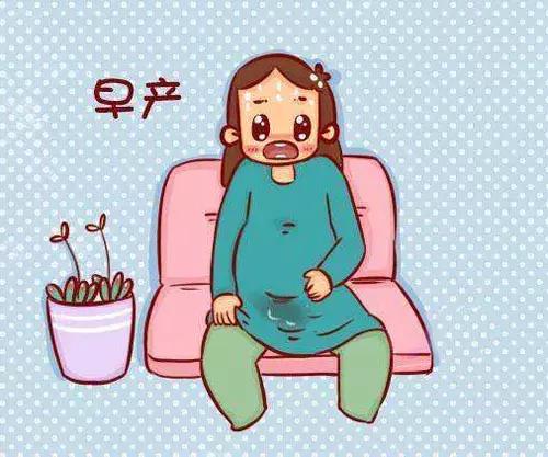 这几种情况容易早产孕妈要当心,准妈妈要知道孕早期的注意事项