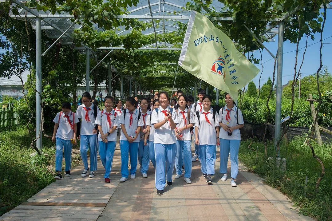 金山比较好的夏令营报名,金山区夏令营方案