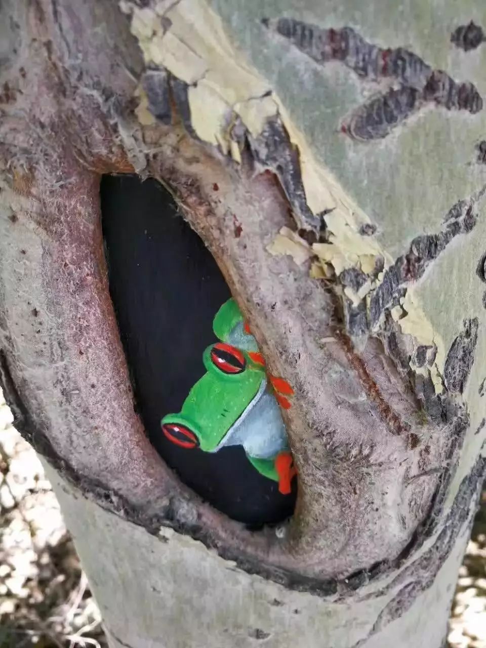 十一银川免费一日游推荐,宁夏十一一日游