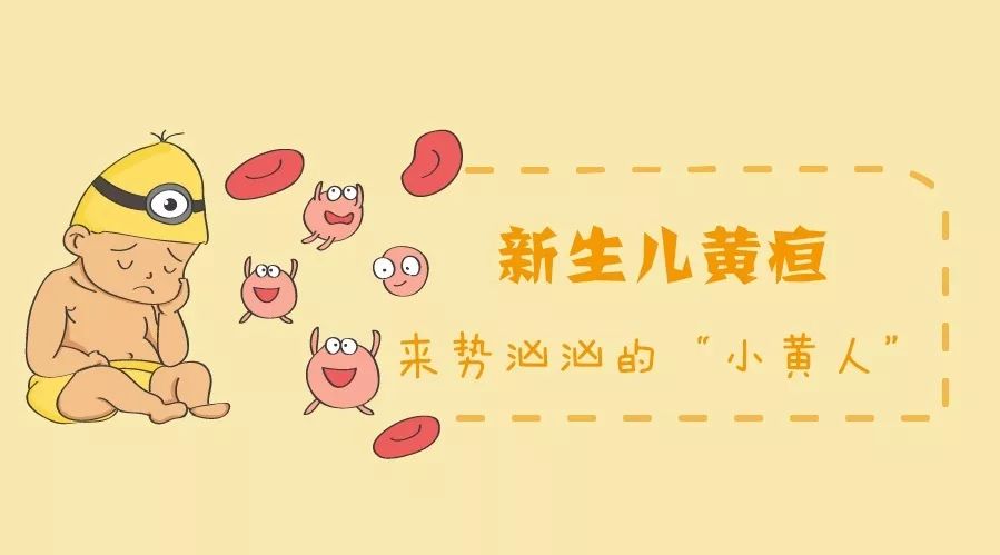 新生儿黄疸19.9,黄疸小黄人