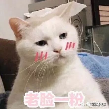 家长怎么帮助孩子实现目标,父母怎样引导孩子找到学习动力