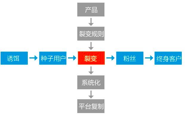 微信生态如何低成本裂变,微信生态下的用户裂变玩法有哪些