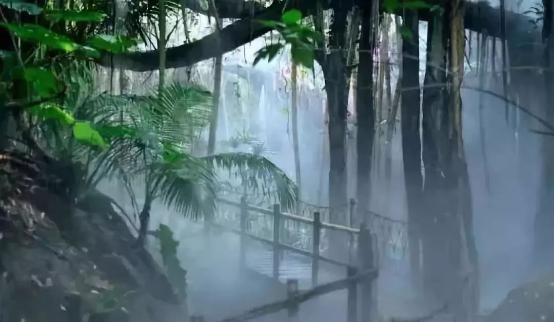 深圳免费景区一览表,深圳国际艺术博览会免费门票