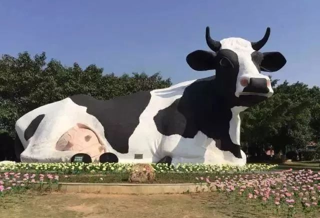 深圳免费景区一览表,深圳国际艺术博览会免费门票