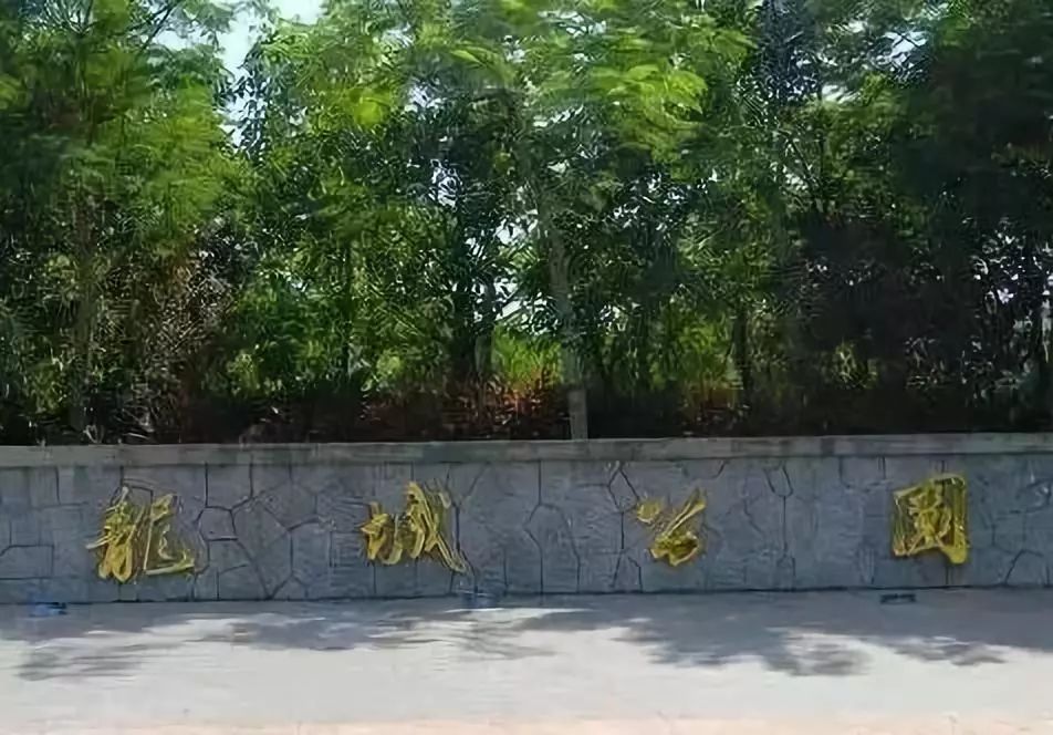 深圳免费景区一览表,深圳国际艺术博览会免费门票