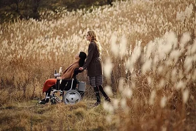 美国惊险灾难电影大全,灾难恐怖电影大全50部