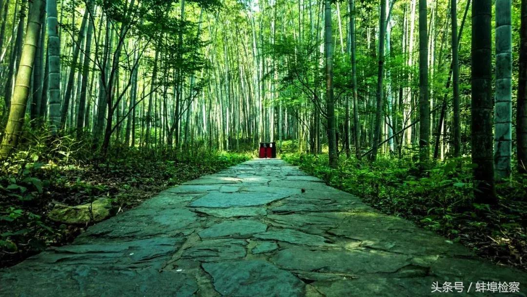 古人最美诗词,古人最优美的诗词