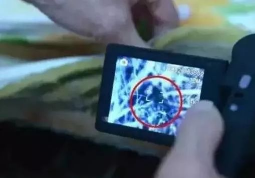 日本爱丽思除螨仪,日本紫外线除螨仪