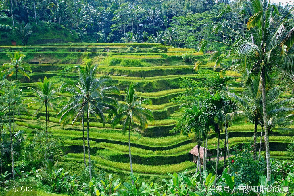 bali巴厘岛冲浪,baligo巴厘岛