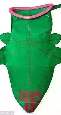 史上最奇葩泳衣,史上最奇葩的搞笑发明