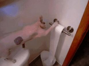 炎热夏天也少不了火锅,天气炎热油腻怎么办