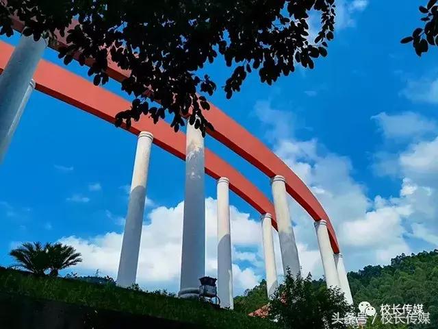 当你第一次看世界杯决赛,看世界杯决赛感受