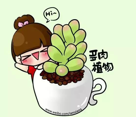 毛骨悚然！淄博家有养多肉的人快看，特别是有小孩的……