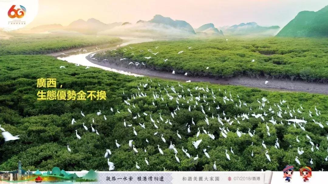 广西代表团视频,中国广西代表团入场