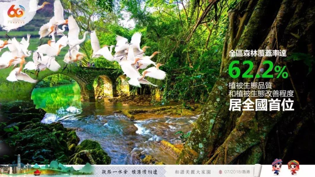 广西代表团来到深圳,广西代表团赴港澳行