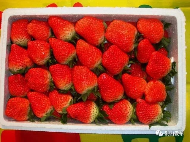 山东乳山十大名村,乳山十大名吃排行榜