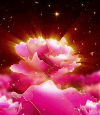 今天7月19，太美了！绝美送给群里好友！看完心情大好~