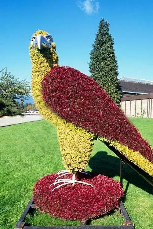 今天7月19，太美了！绝美送给群里好友！看完心情大好~