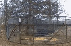 上班族怎么才能财富自由,上班族如何提高财务自由收入