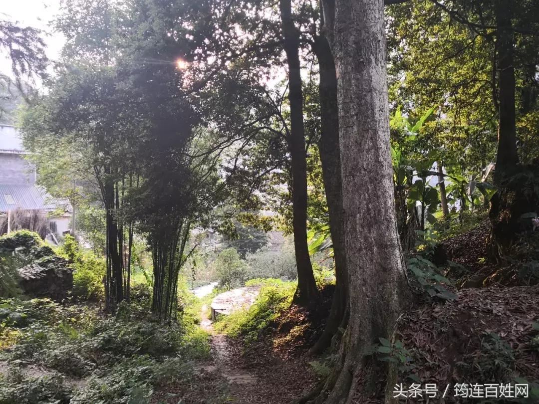 爱心救助没有妈妈的孩子,爱心人士帮助妇女