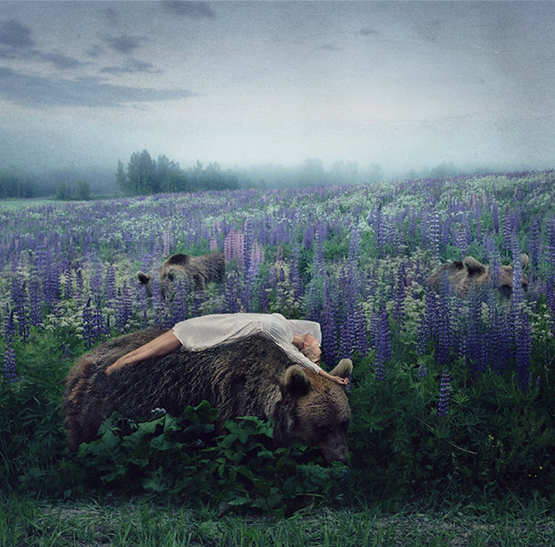 舞蹈与摄影结合,舞蹈摄影力与美的结合