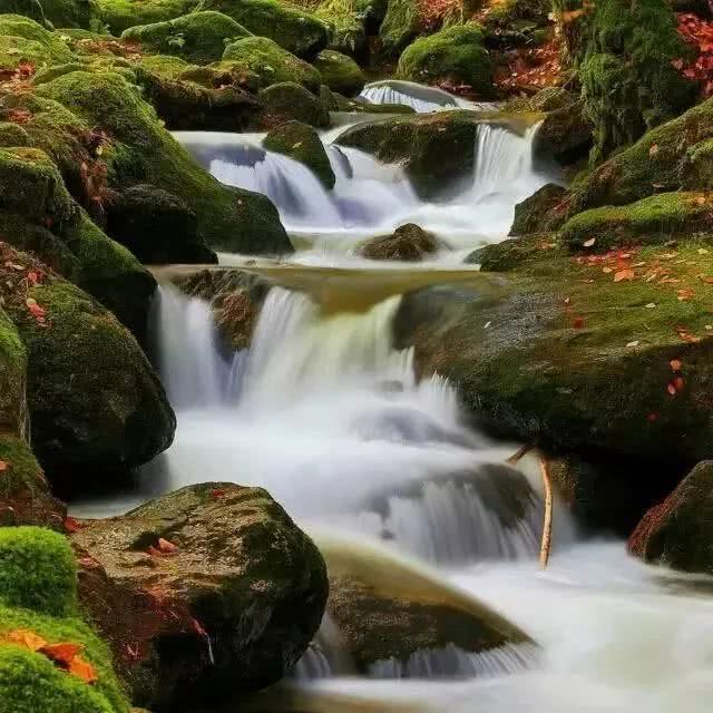 2022年宝鸡避暑好去处,宝鸡周边夏日避暑绝佳去处