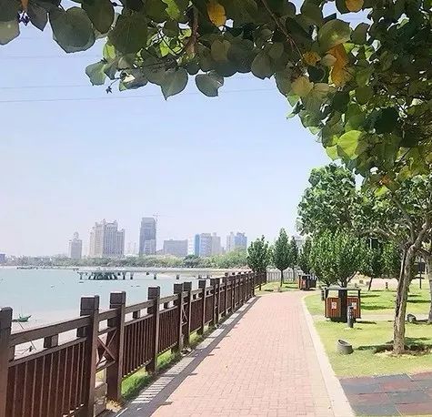 厦门历史最久的“洗肾中心”重返海沧！以后不用跑岛内，还有……