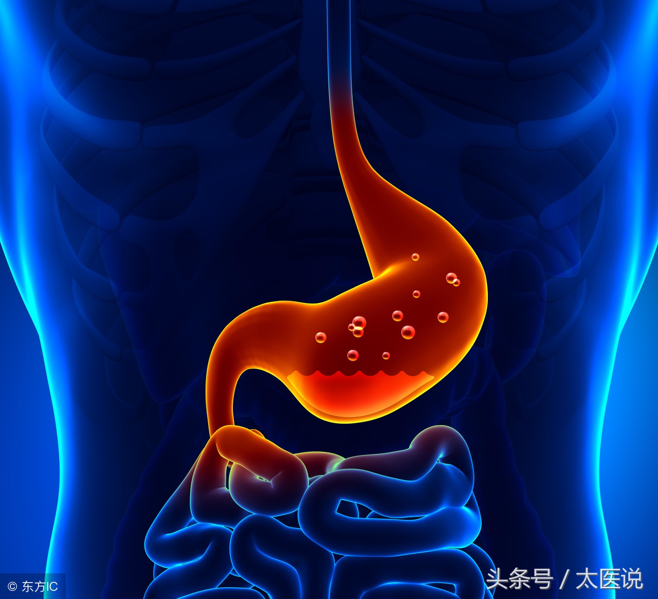 原来不吃早饭会心慌,不吃早餐的12个危害你知道吗