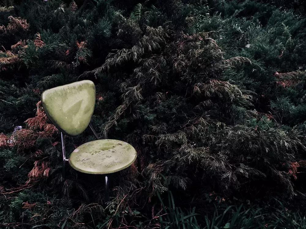 世界十大最高品质手机摄影大赛,2022年ippa摄影大赛