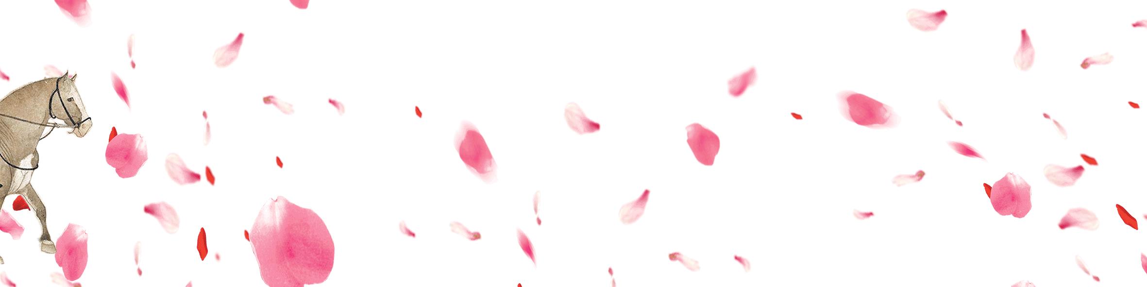 带你认识几个主播,带你认识几种常见的野菜