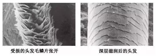 学会吹卷发,怎么把头发吹成烫了的发型