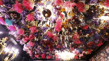 傲娇！藏在解放南路的「花园餐厅」只有6张桌！道明寺来也要预约