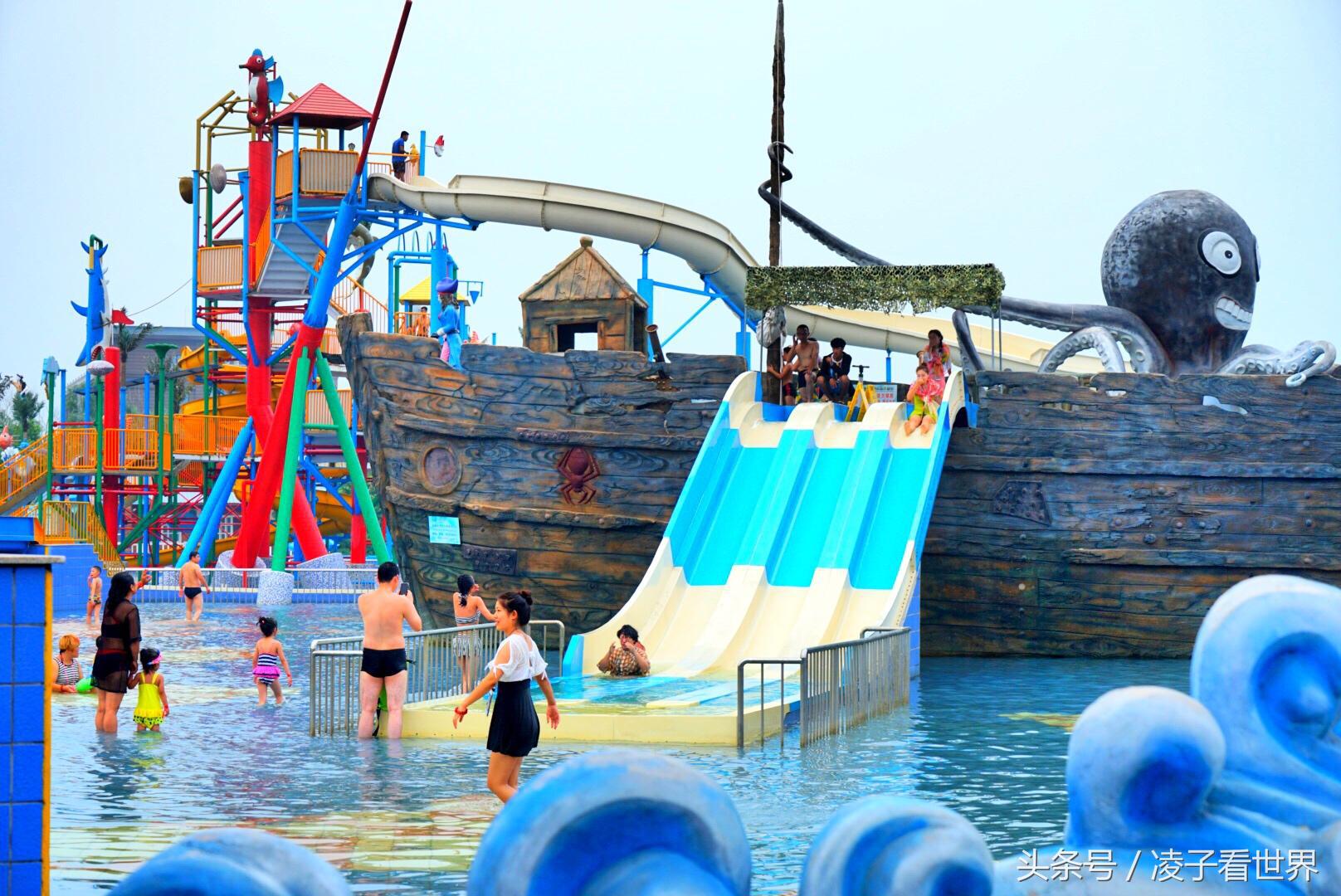 沙滩拾贝壳景区,沙滩花海美景