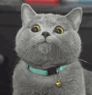 现实版我不是药神案件,我不是药神真实人物判了几年