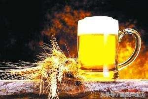 生啤熟啤扎啤冰啤黑啤白啤,生啤熟啤干啤原浆扎啤精酿哪种好