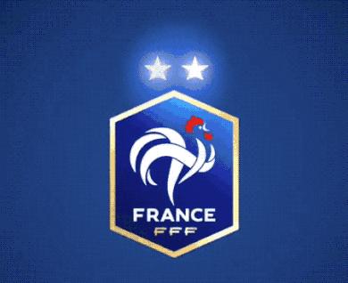 庆祝法国队夺冠！法国球队LOGO升级：一星变两星