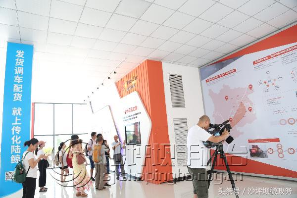 记者在行动完整视频,在行动全集免费观看