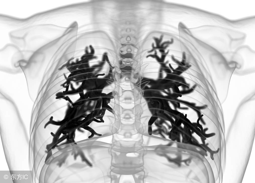 支气管炎最怕的三种食疗,支气管炎食疗最佳方法