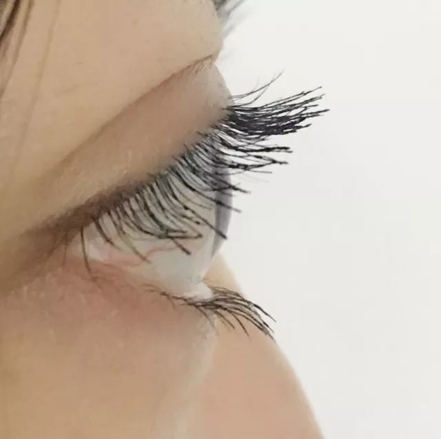 睫毛膏10大品牌推荐,平价卷翘睫毛膏测评